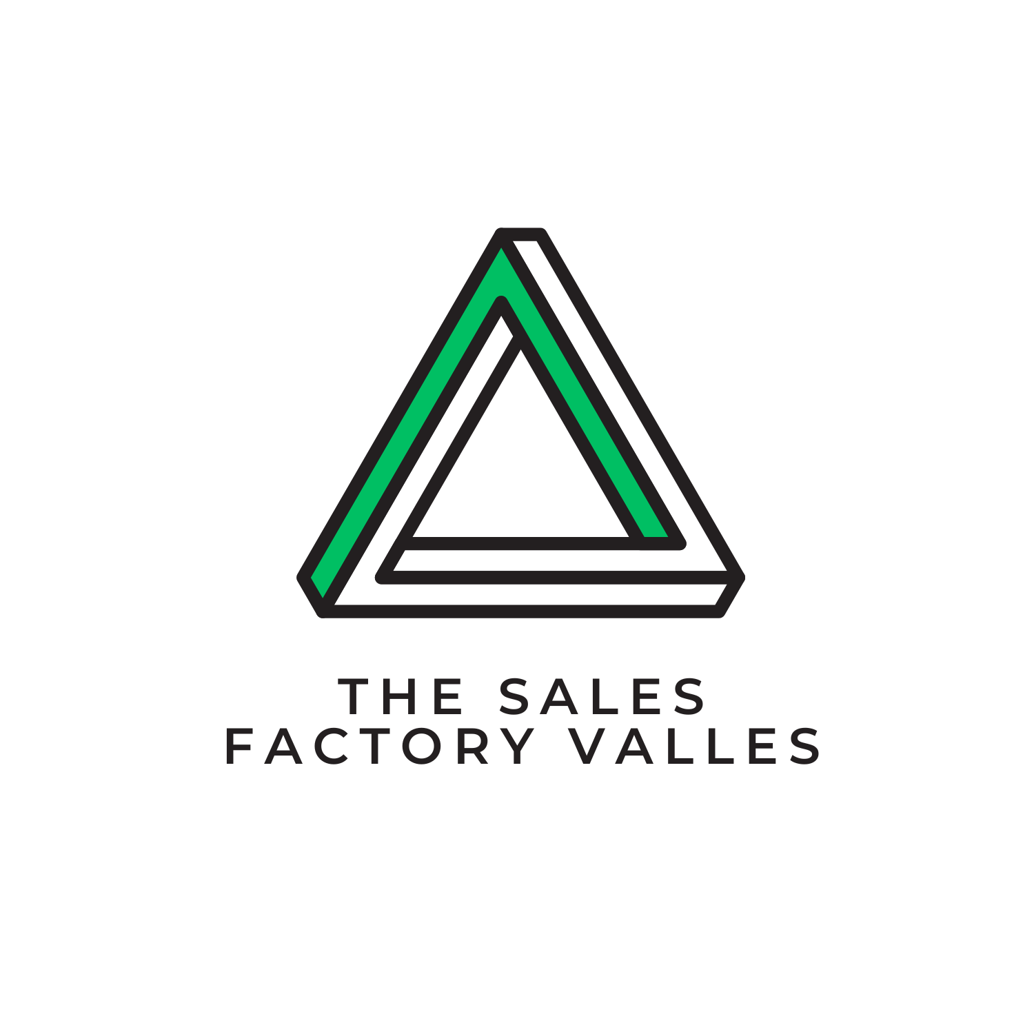 The Sales Factory Vallès